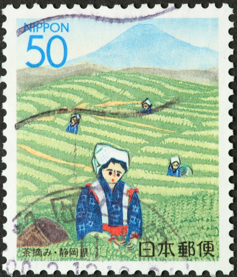 old Shizuoka stamp with women working in the tea fields 