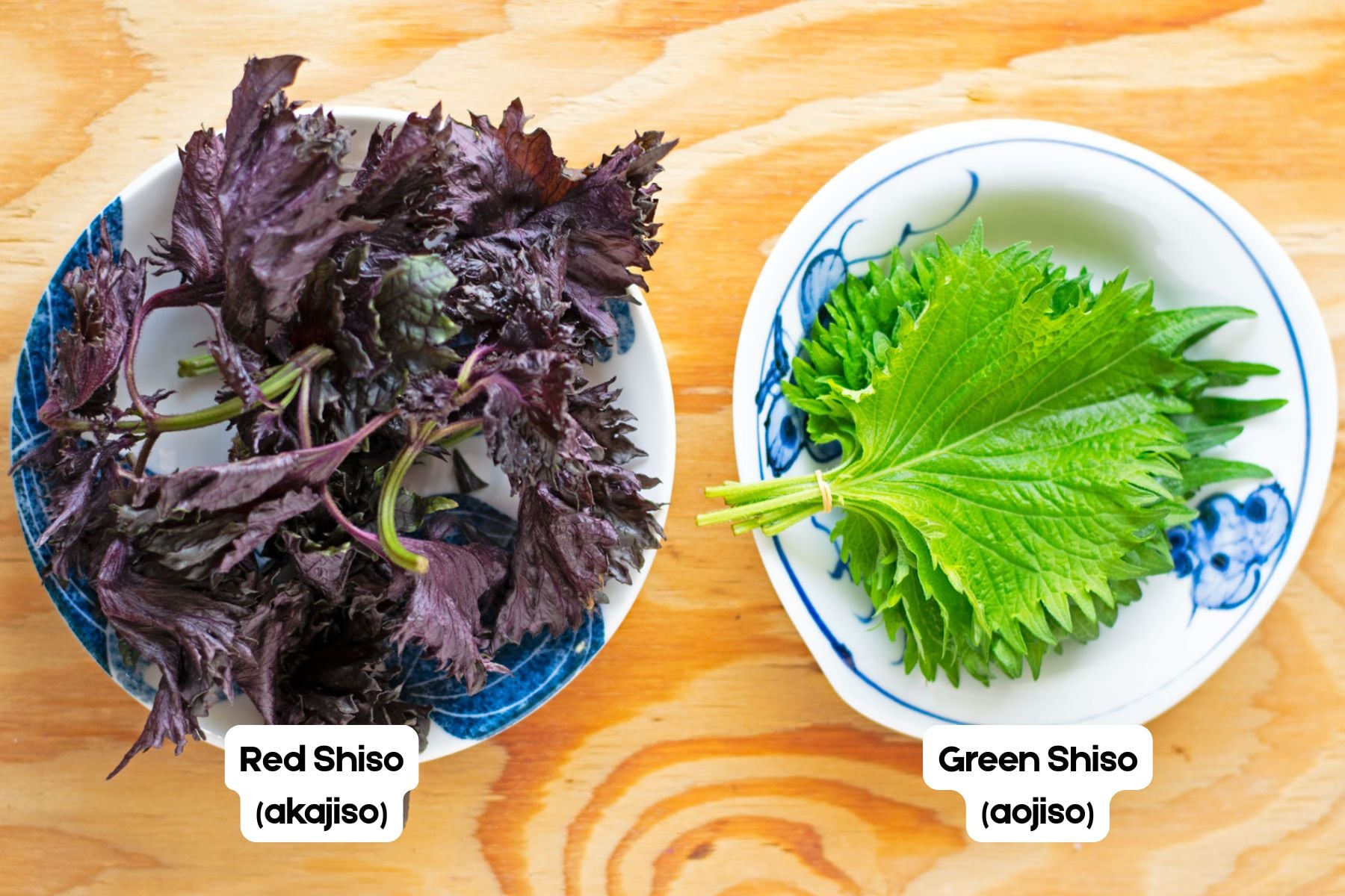 Fresh green and red shiso leaves side by side, showing the color difference between the two varieties.