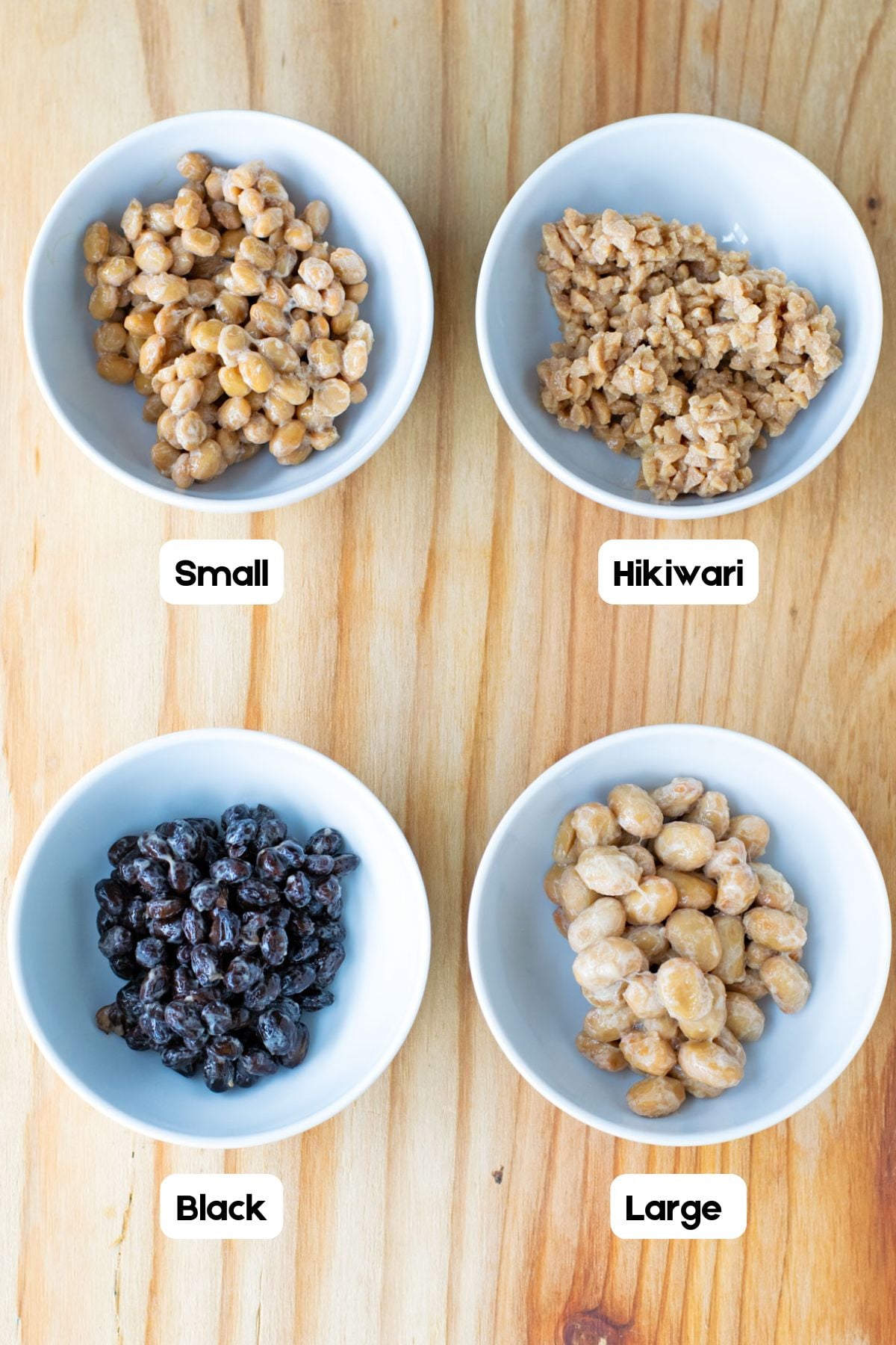 Four types of Japanese natto side by side: small kotsubu, hikiwari, black soybean, and large ōtsubu.